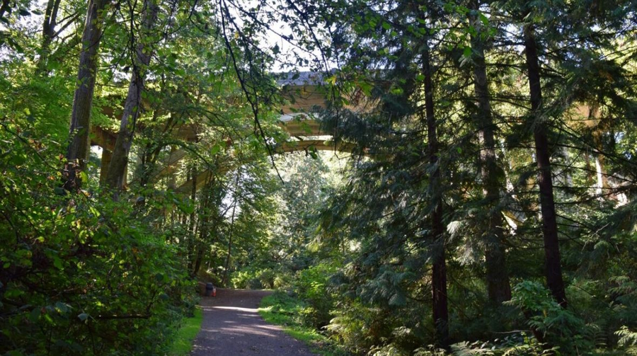The main trail between Cowen and Ravenna parks. Photo credit: Jennifer Johnson