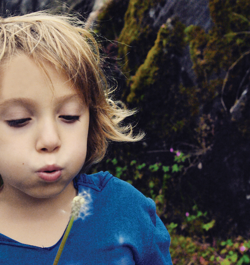 boy blowing on a dandelion