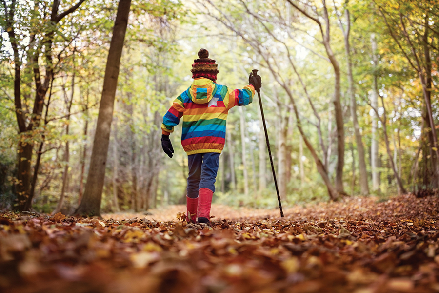 Ecotherapy for Mental Health