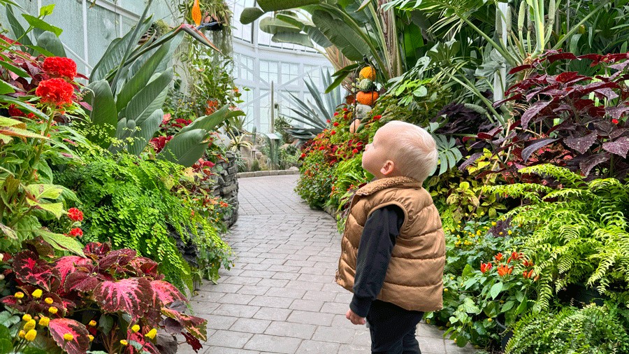 toddler on a nature walk through the conservatory at Wright Park