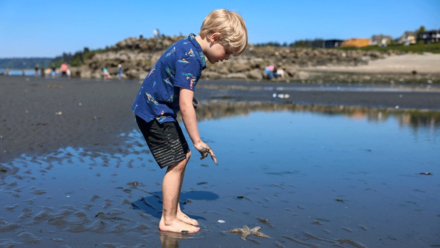 young boy pointing at sea star while looking at tide pools in Edmonds