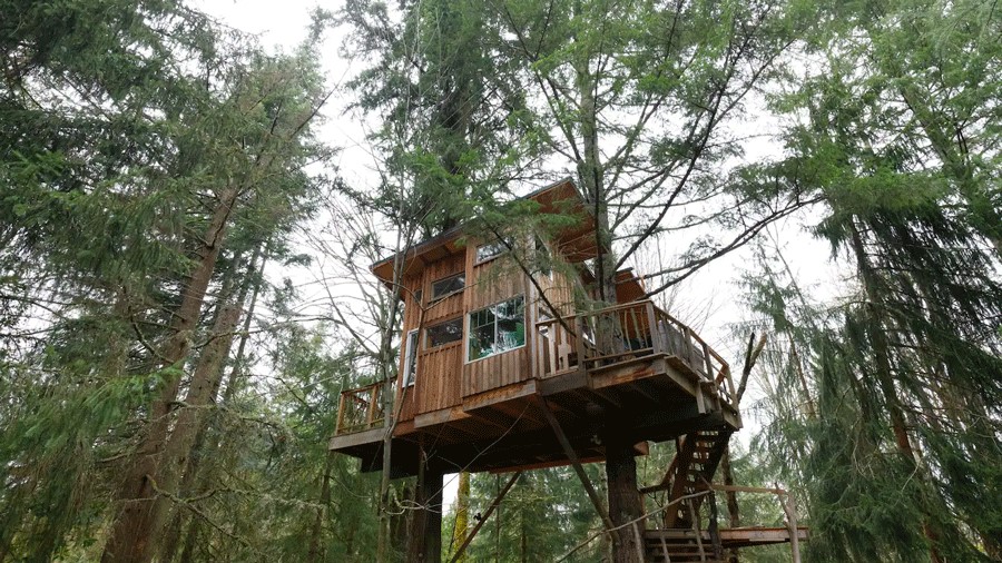 Treehouse in Redmond with views of the forest