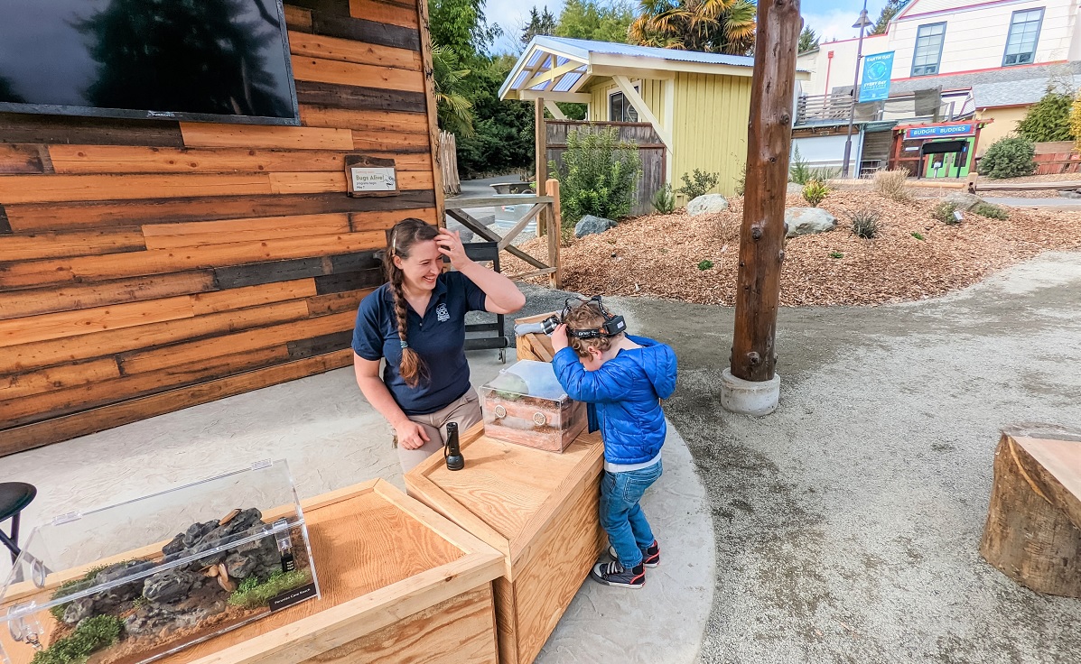 A boy looks at bugs with a headlamp at PDZA’s new toddler nature play area
