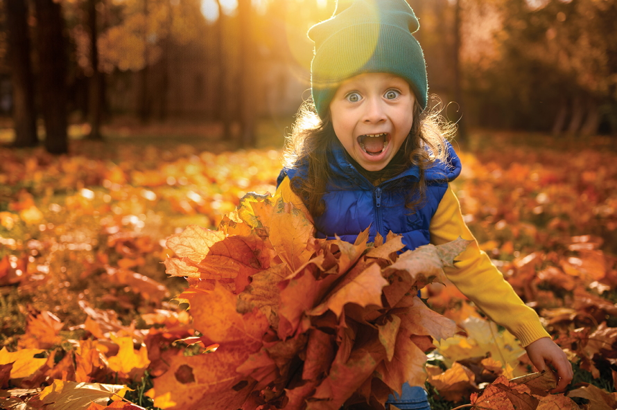 The Play List: Highlighted Seattle-Area Family Events and Outings for November 2022