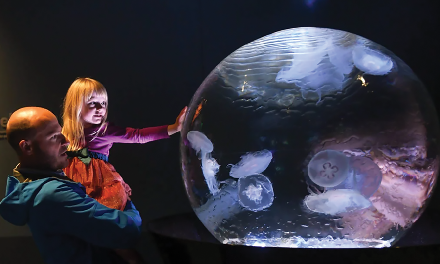 Tacoma’s Marvelous Point Defiance Park: Best Play Stops for Families