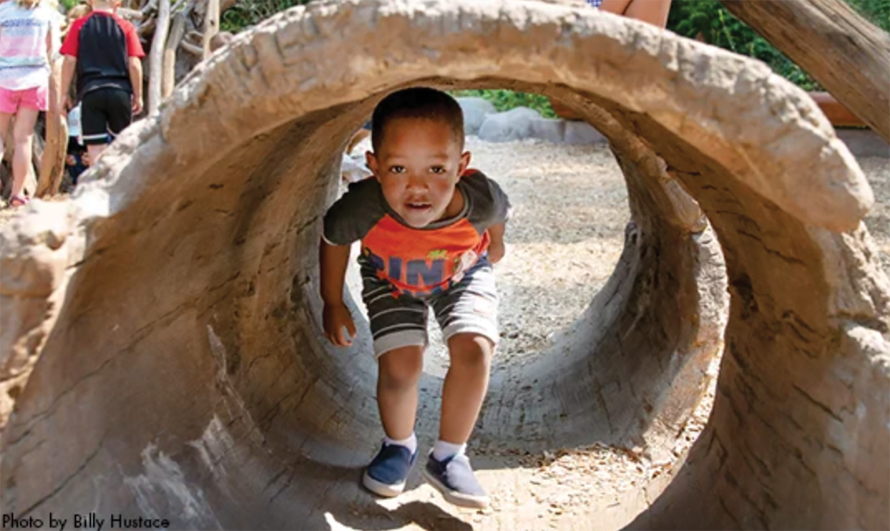 Young boy standing in a small tunnel that looks like a log