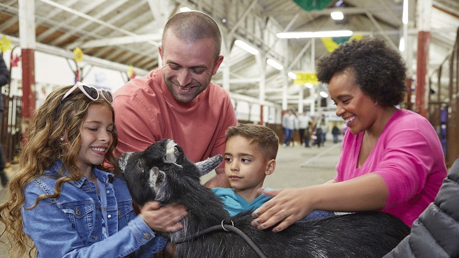Family petting a goat at the Washington State Fair in Puyallup