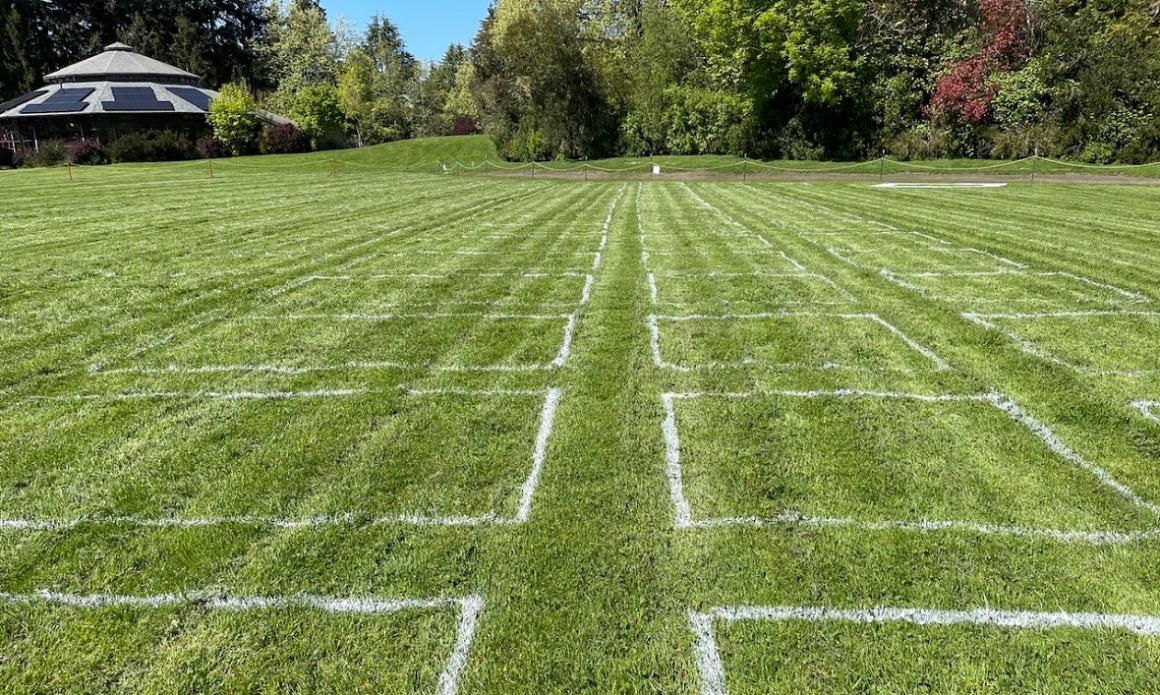 Pod seating on Woodland Park Zoo's north meadow for ZooTunes concerts returning summer 2021 Seattle kids and families