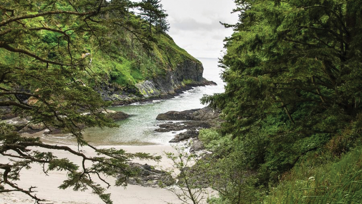 A view of the water through the trees at Cape Disappointment