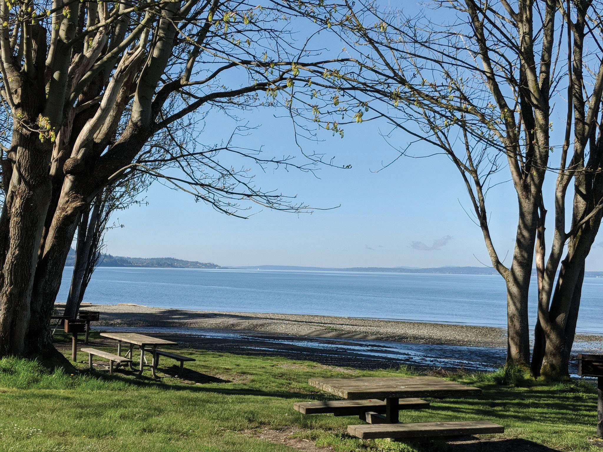Grassy park with picnic tables looking out to Puget Sound