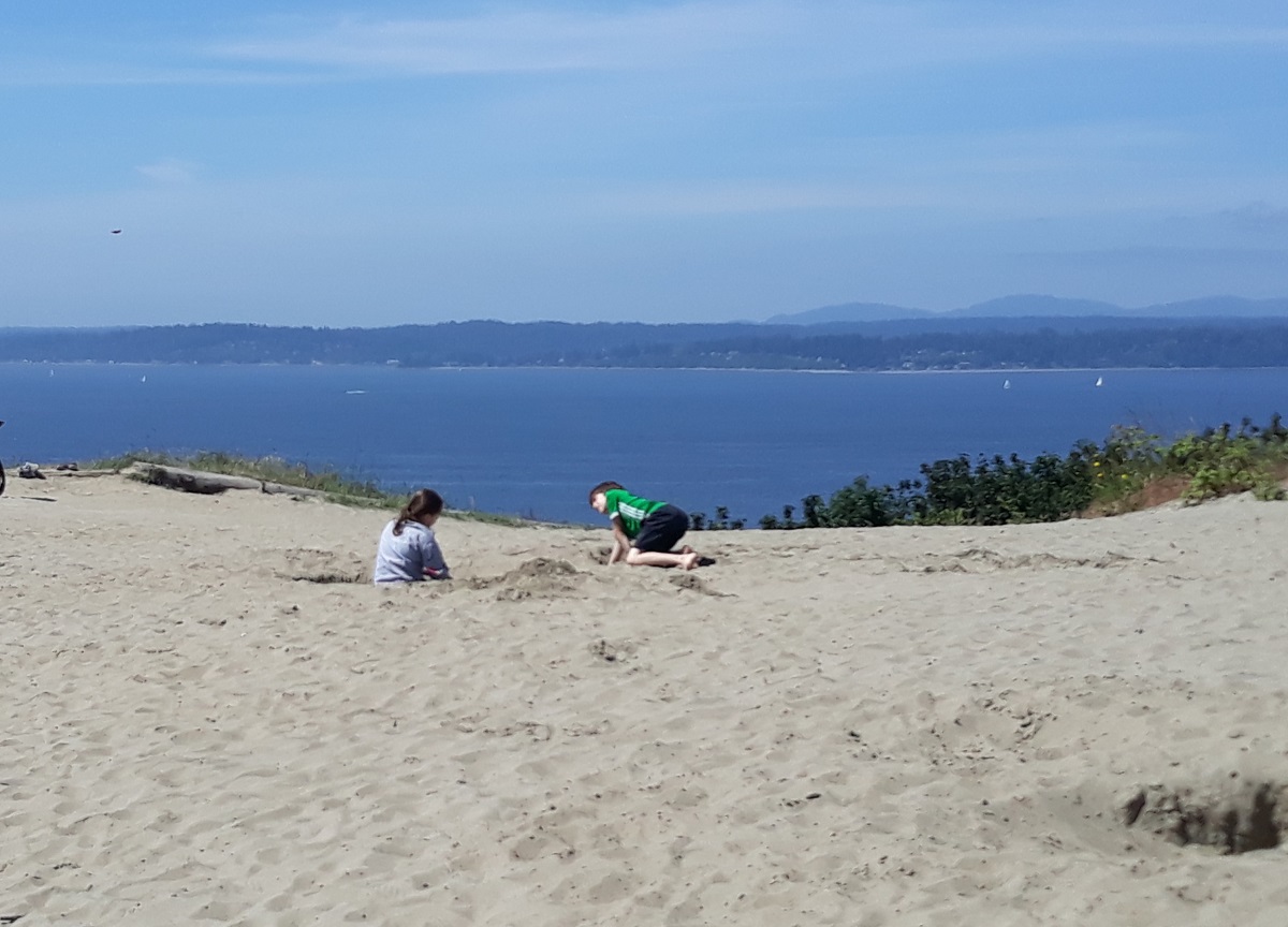 Discovery Park sand dune at the bluff