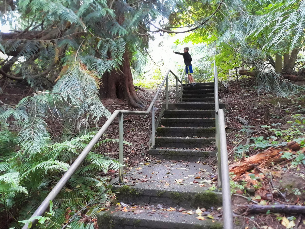 Discovery-Park-stairways-secret-seattle