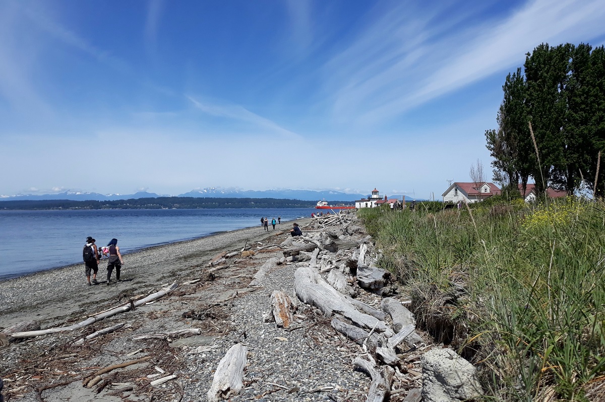 Discovery Park beach