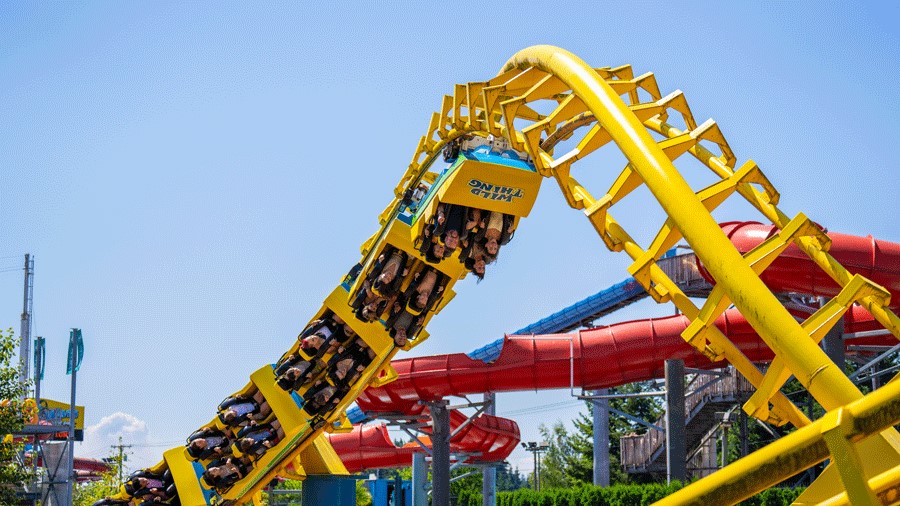 People riding the Wild Thing rollercoaster at Wild Waves near Seattle