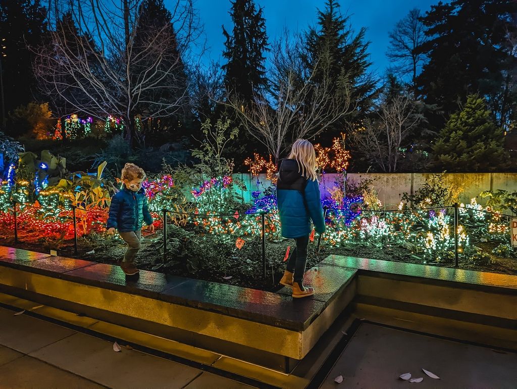 Gorgeous Garden d’Lights Returns to Bellevue Botanical Garden for 2022