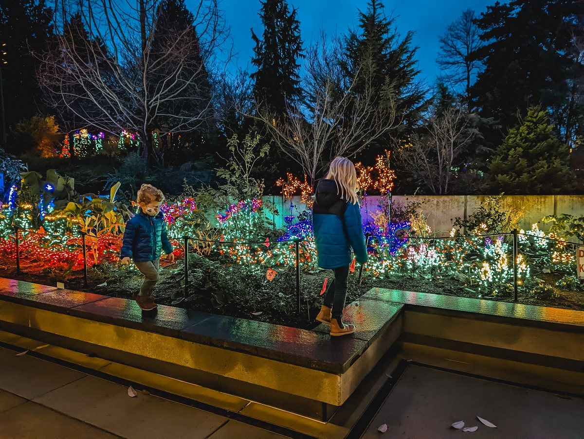 Two young kids in warm coats and masks walk along a low wall at Garden d'Lights holiday light show at Bellevue Botanical Garden near Seattle; kids are looking at gardens decorated in holiday lights evening dusk