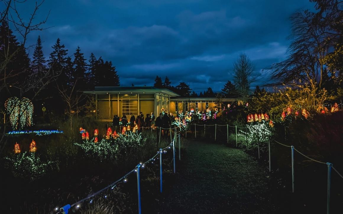 A family with kids looks at the light displays at Bellevue Botanical Gardens Garden d'Lights holiday season light show Seattle activities for families
