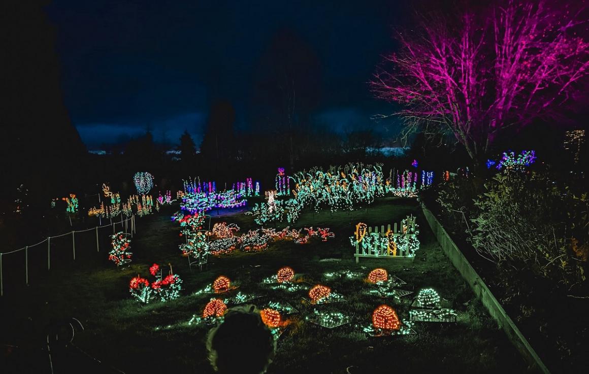 A family with kids looks at the light displays at Bellevue Botanical Gardens Garden d'Lights holiday season light show Seattle activities for families