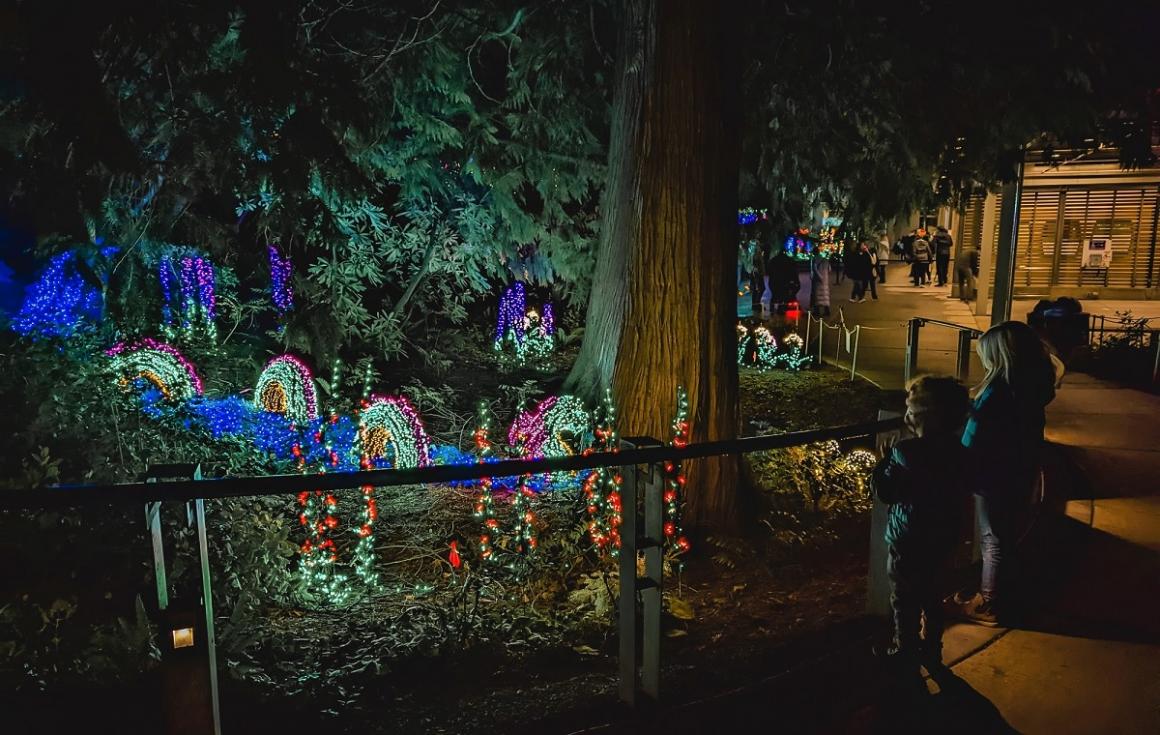 A family with kids looks at the light displays at Bellevue Botanical Gardens Garden d'Lights holiday season light show Seattle activities for families