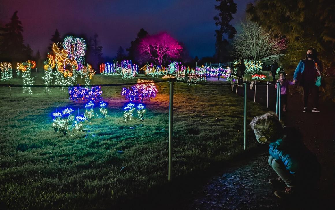 A family with kids looks at the light displays at Bellevue Botanical Gardens Garden d'Lights holiday season light show Seattle activities for families