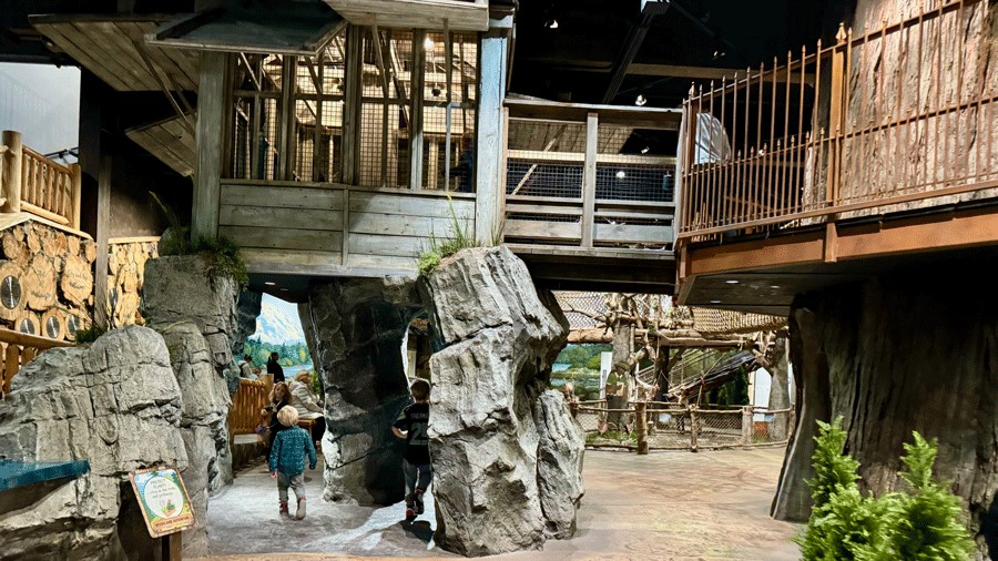 A young boy at Imagine Children’s Museum in Everett explores the woodland adventure exhibit on the first floor