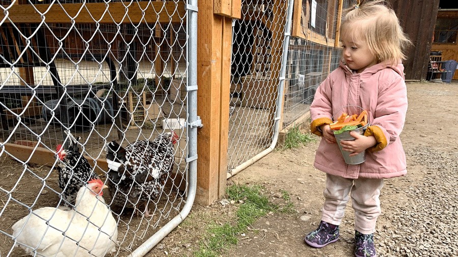 10+ Places to Play Around Greater Seattle for $10 (Or Less)