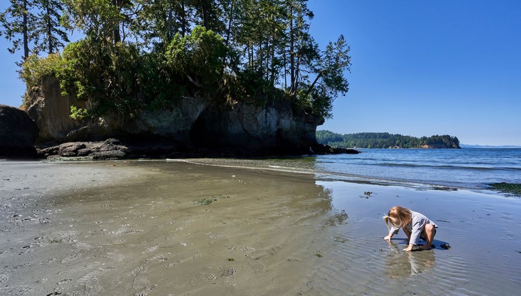 Olympic Peninsula With Kids: Family Adventures in Nature