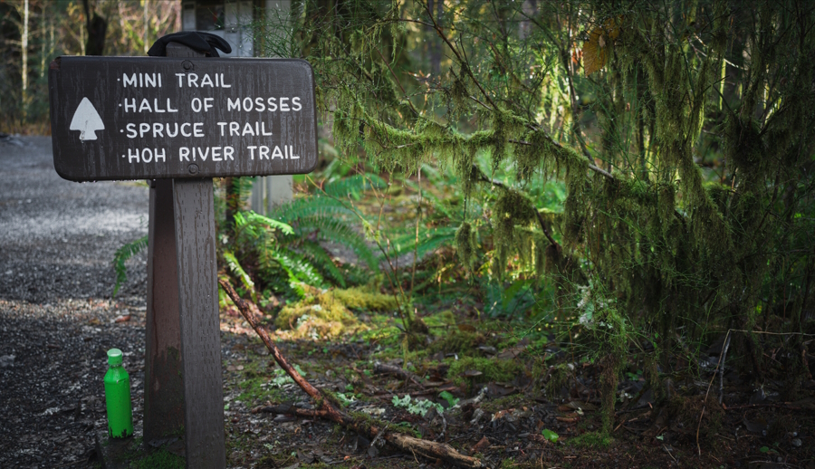 Olympic national park trail sign