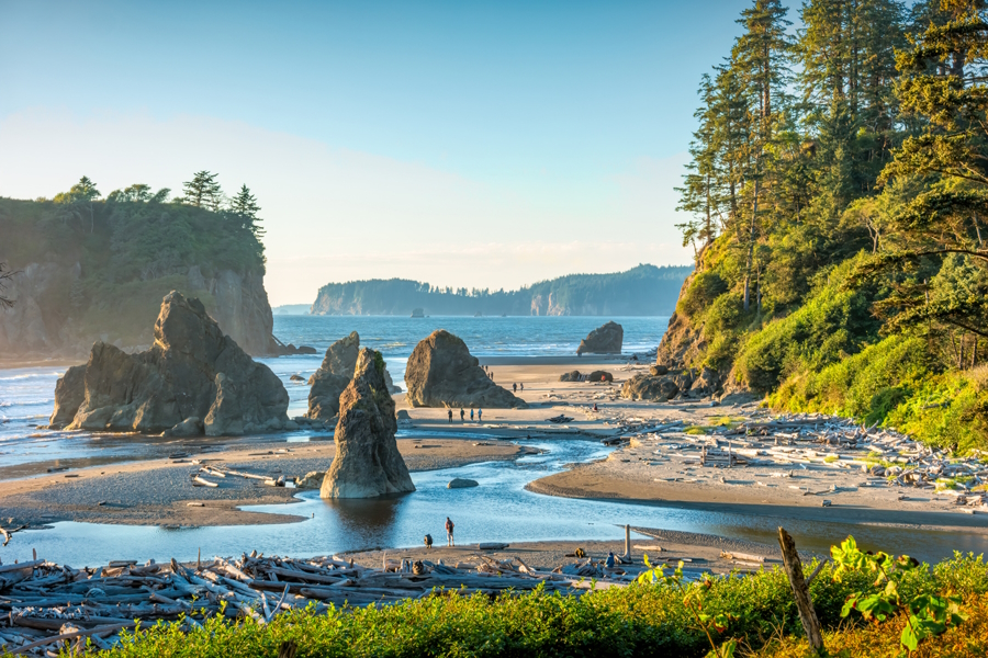 Ruby beach Olympic Peninsula with kids