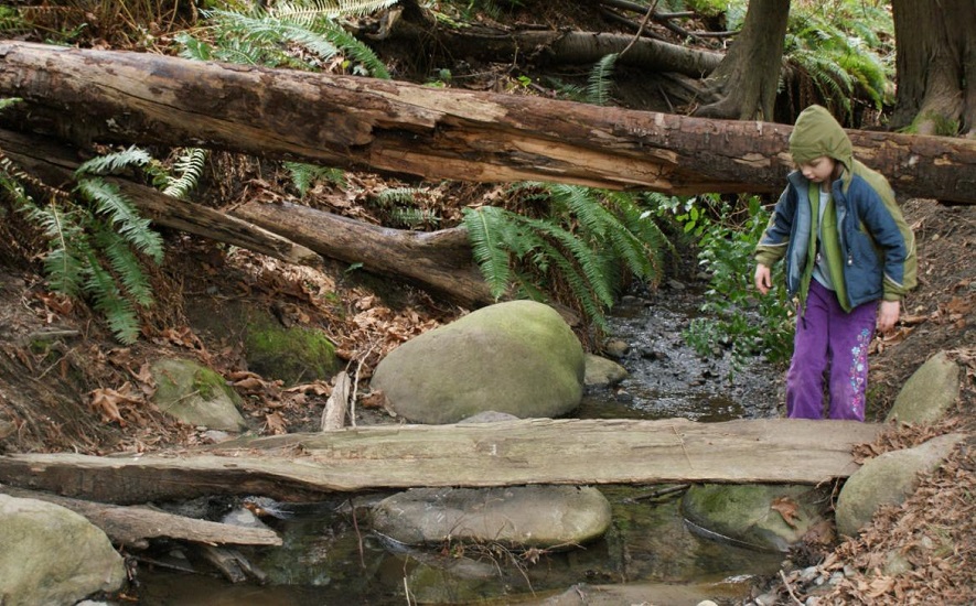 a child crosses a log on a spring hike in Mercer Slough