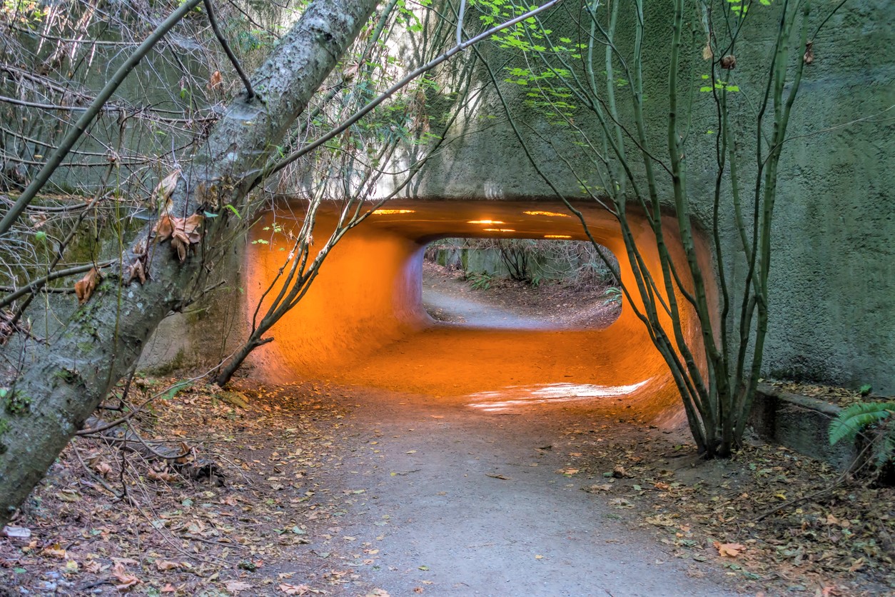 A lighted tunnel at Discovery Park best spring hikes Seattle kids families