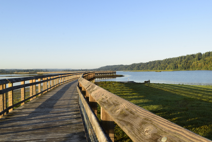 Billy Frank Jr. Nisqually National Wildlife Refuge boardwalk is a great place to spot wildlife on a spring hike near seattle
