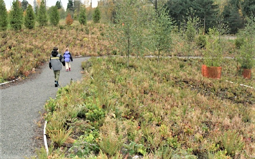 Brightwater-Center-best-spring-hikes-nature-trails-kids-families-Bellevue-Eastside-Seattle