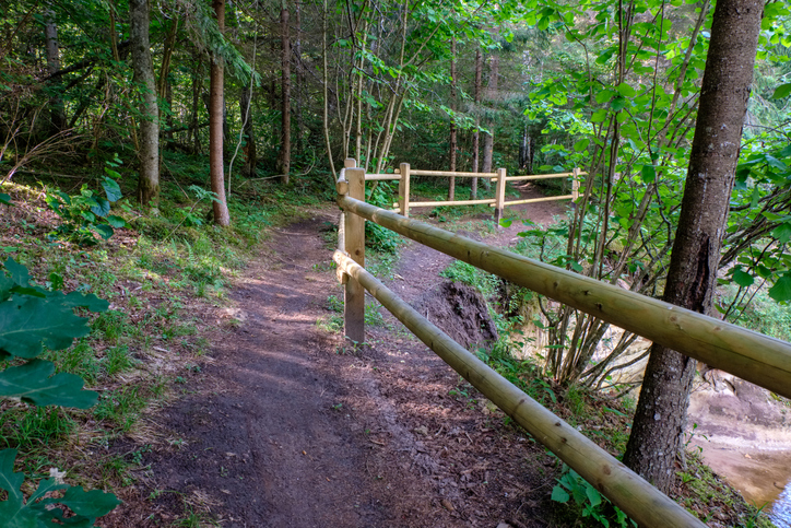 A trail in Lewis Creek Park in Bellevue is a great place to hike with kids in seattle