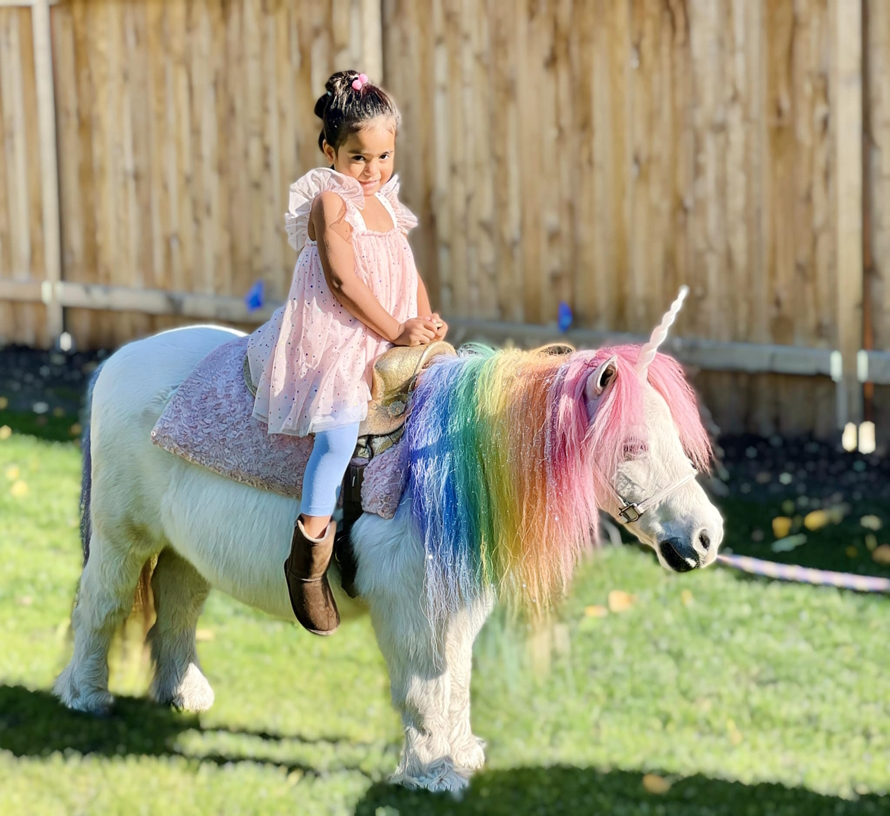 Young girl on a pony with a unicorn horn and raimbow mane