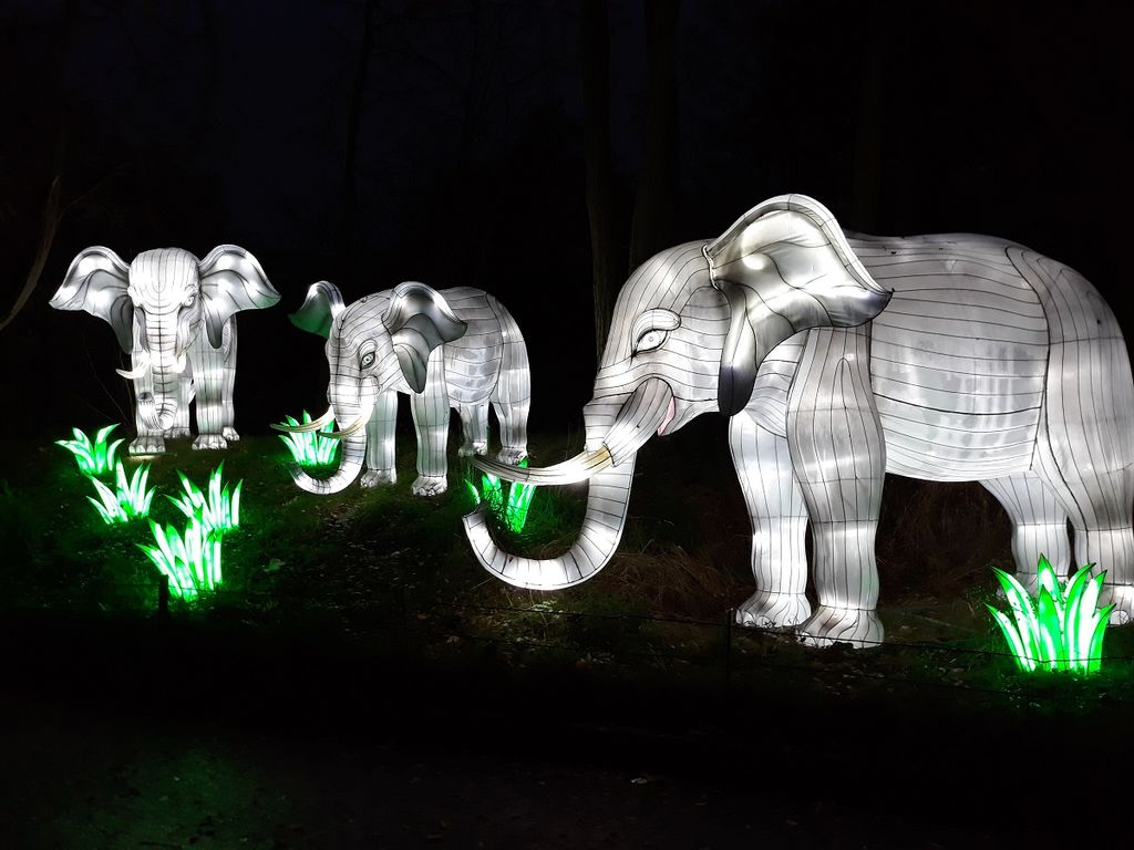 Woodland Park Zoo’s Holiday Lantern Festival Is Back for 2021