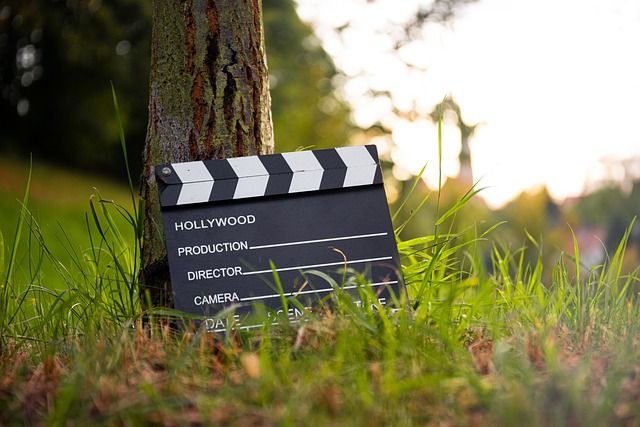 Bothell Movies in the Park