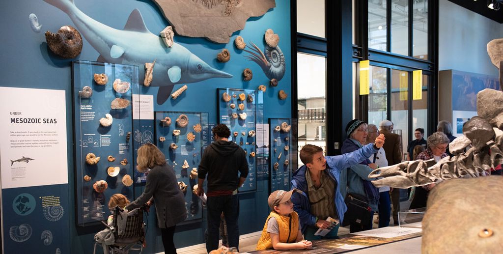 Fossil Finders: Ancient Environments