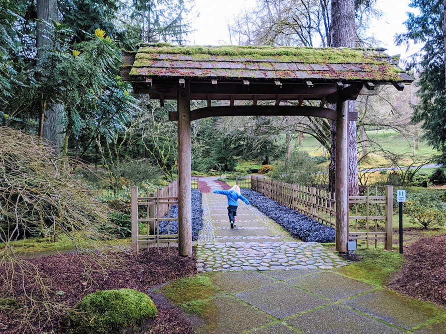 Winter in the Woods: Holiday Nature Adventure for Seattle-Area Kids