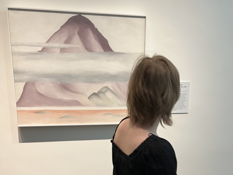 looking at a painting at a museum in Santa Fe