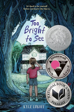 Too Bright to See book with LGBTQ characters