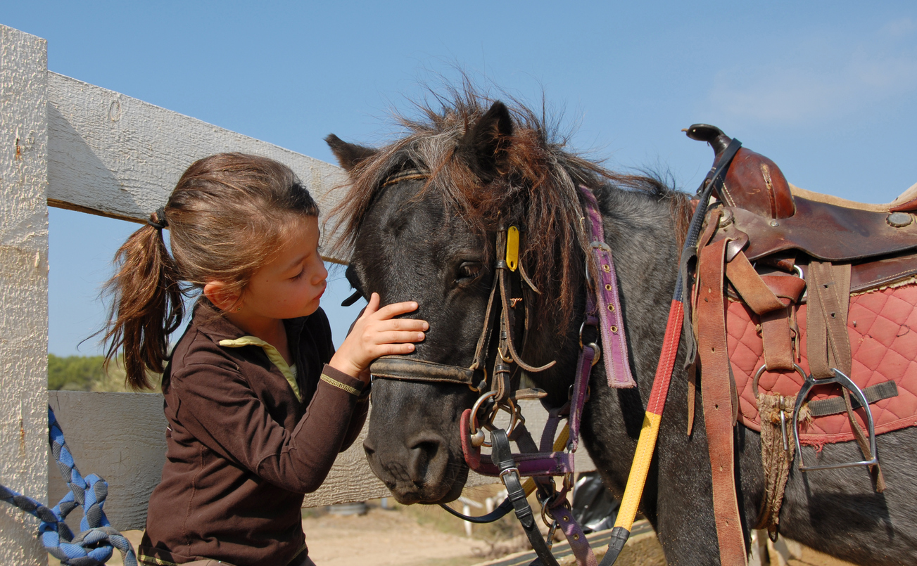 Cute young girl with brown hair and a brown shirt leans her face close to the face of a small brown pony wearing a saddle