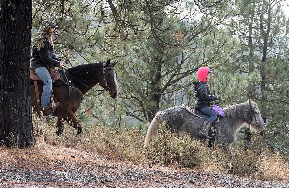 Flying Horseshoe Ranch