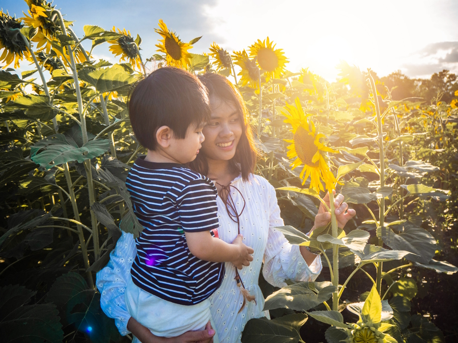 Mom and son at a sunflower field