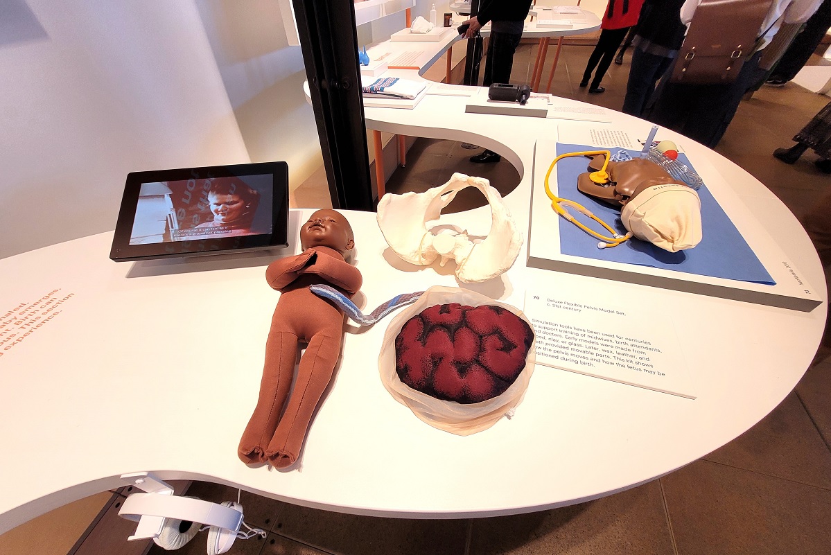 Designing Motherhood Gates Discovery Center baby placenta and pelvis model
