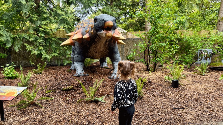 young girl looking at dinosaur at Woodland Park Zoo in Seattle