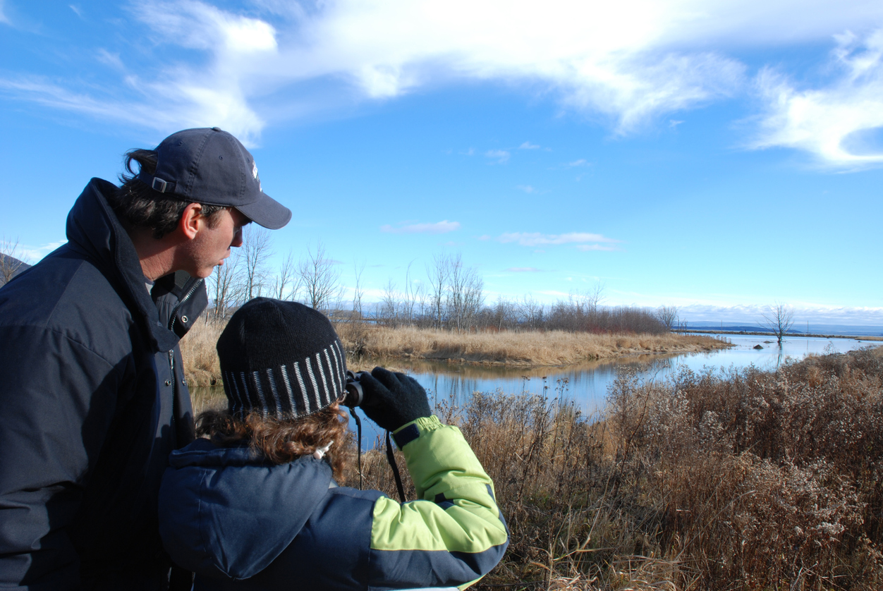 Dad and child looking through binoculars across winter landscape backyard citizen science for seattle-area familes