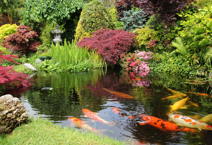 Seattle-Japanese-Garden-best-family-memberships