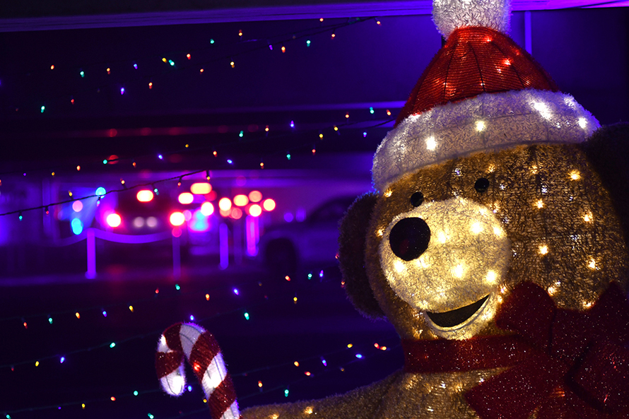 lit-up bear at starlight lane holiday show