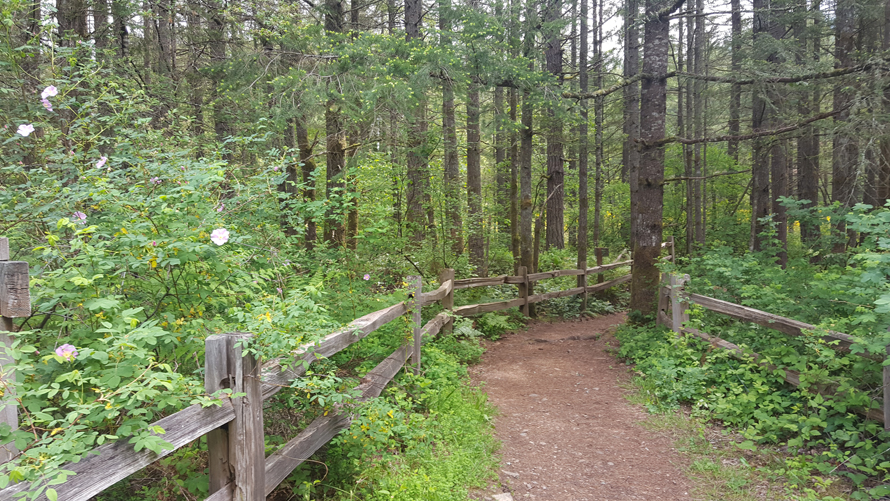 tradition lake trail issaquah